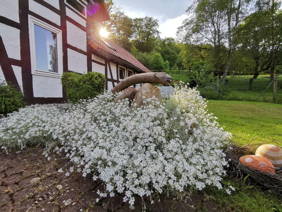 Ferienhof Ehlers Hulsede Екстериор снимка